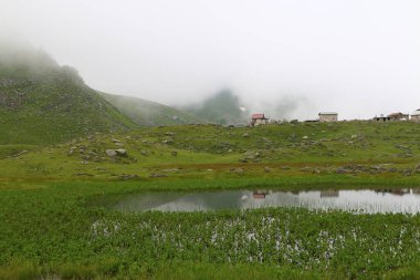 Samanyolu ve yıldız fotoğrafları, peyzaj ve doğayı takip ediyor