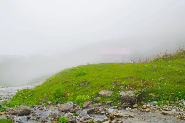Samanyolu ve yıldız fotoğrafları, peyzaj ve doğayı takip ediyor
