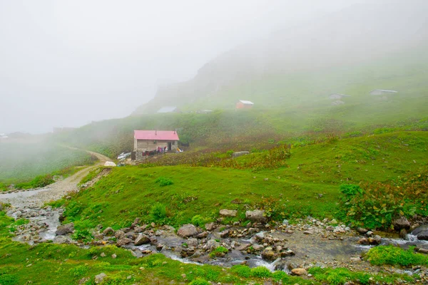 Samanyolu ve yıldız fotoğrafları, peyzaj ve doğayı takip ediyor