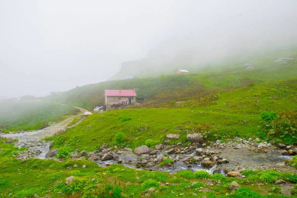 Samanyolu ve yıldız fotoğrafları, peyzaj ve doğayı takip ediyor