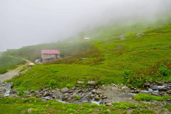 Samanyolu ve yıldız fotoğrafları, peyzaj ve doğayı takip ediyor