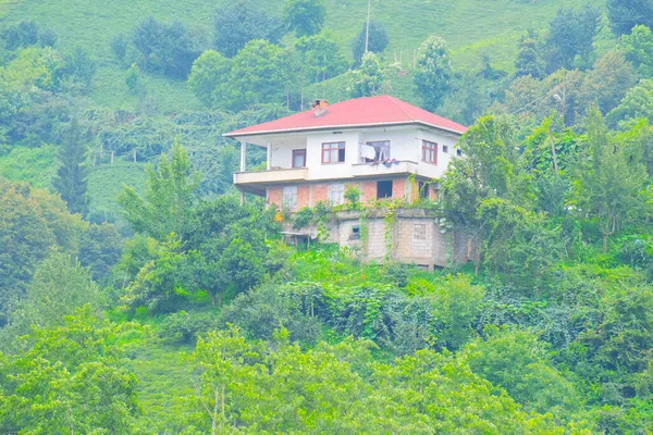 Samanyolu ve yıldız fotoğrafları, peyzaj ve doğayı takip ediyor