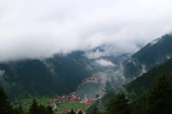 Voie Lactée Sentiers Étoilés Photos Paysage Nature — Photo