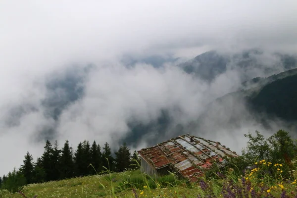 Voie Lactée Sentiers Étoilés Photos Paysage Nature — Photo