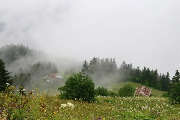 Samanyolu ve yıldız fotoğrafları, peyzaj ve doğayı takip ediyor