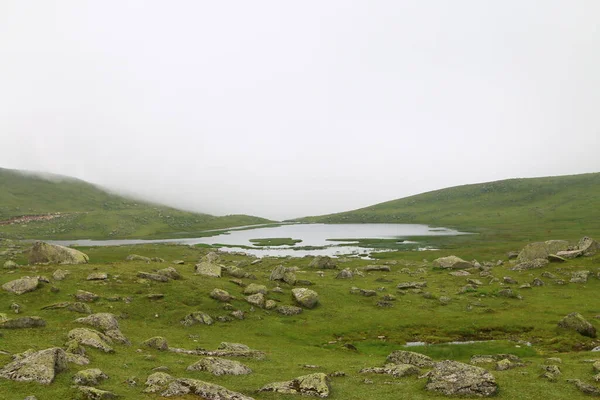 Samanyolu ve yıldız fotoğrafları, peyzaj ve doğayı takip ediyor