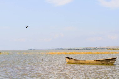 Manyas Kuş Cenneti Ulusal Parkı - Balikesir, Türkiye