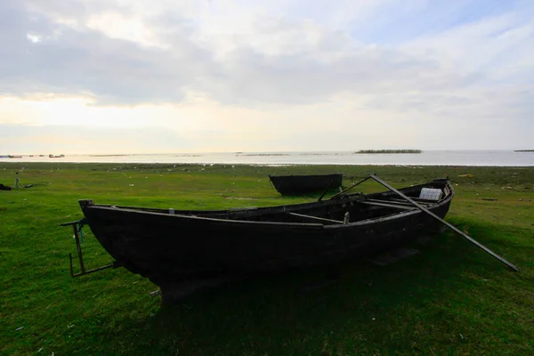 Manyas Fågelparadis Nationalpark Balikesir Turkiet — Stockfoto