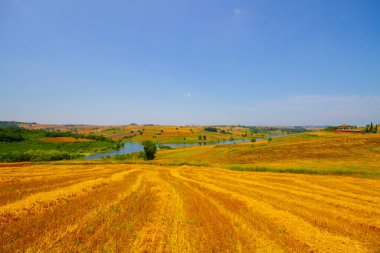 Kocaeli 'nin Kefken ilçesinin kıyılarındaki farklı kaya yapıları.