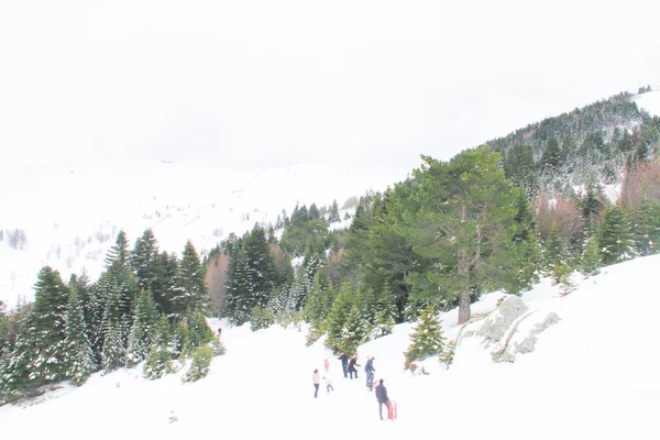 Gente Está Esquiando Montaña Uludag Uludag Mountain Estación Esquí Turquía —  Fotos de Stock