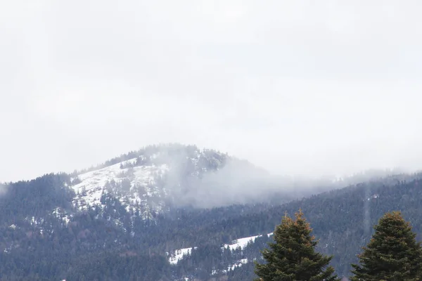 Κόσμος Κάνει Σκι Στο Βουνό Ουλούνταγκ Uludag Mountain Είναι Χιονοδρομικό — Φωτογραφία Αρχείου