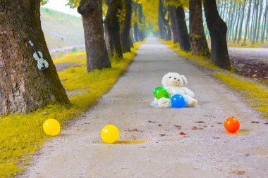 Ağaç dallarından düşen renkli ağaç yaprakları. Parkway. Dudakli, Bursa, Türkiye.