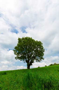 Türkiye 'nin Golyazi Köyünde balıkçı teknesi