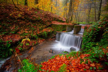 Sonbahar orman manzarası ahşap iskeleli suya yansıyor - Yedigoller Park Bolu, Türkiye 'de sonbahar manzarası (yedi göl)
