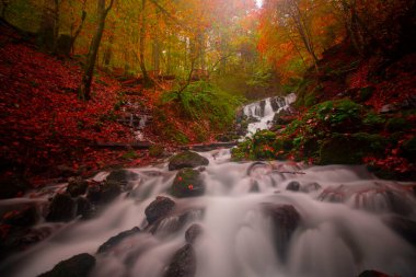 Sonbahar orman manzarası ahşap iskeleli suya yansıyor - Yedigoller Park Bolu, Türkiye 'de sonbahar manzarası (yedi göl)