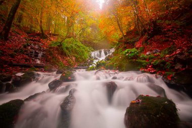 Sonbahar orman manzarası ahşap iskeleli suya yansıyor - Yedigoller Park Bolu, Türkiye 'de sonbahar manzarası (yedi göl)
