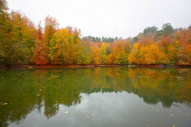 Sonbahar orman manzarası ahşap iskeleli suya yansıyor - Yedigoller Park Bolu, Türkiye 'de sonbahar manzarası (yedi göl)
