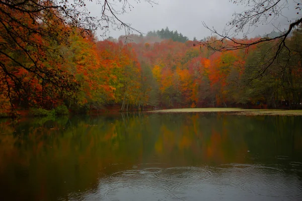 Autumn Forest Landscape Reflection Water Wooden Pier Autumn Landscape Seven — ストック写真