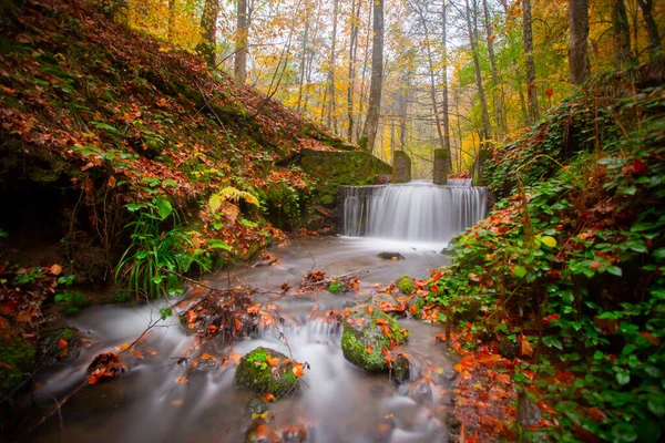 Outono Floresta Paisagem Reflexão Sobre Água Com Cais Madeira Paisagem — Fotografia de Stock