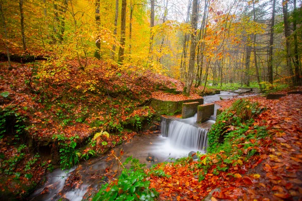 Autumn Forest Landscape Reflection Water Wooden Pier Autumn Landscape Seven — Stockfoto