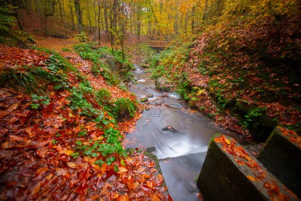 Podzimní Lesní Krajina Odraz Vodě Dřevěným Mola Podzimní Krajina Sedm — Stock fotografie