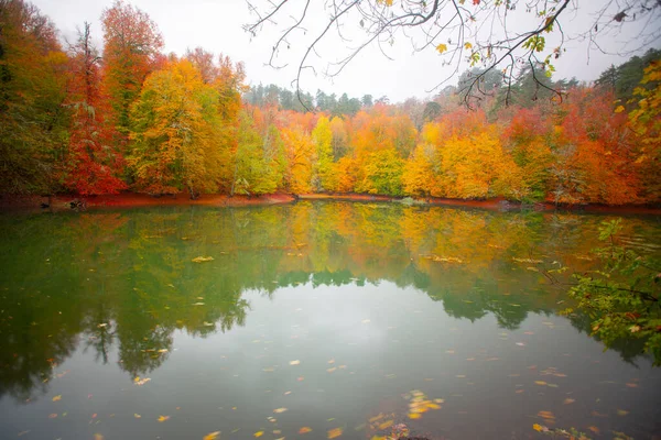 Autumn Forest Landscape Reflection Water Wooden Pier Autumn Landscape Seven — ストック写真