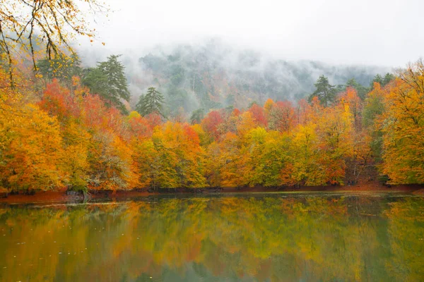 Autumn Forest Landscape Reflection Water Wooden Pier Autumn Landscape Seven — Fotografia de Stock