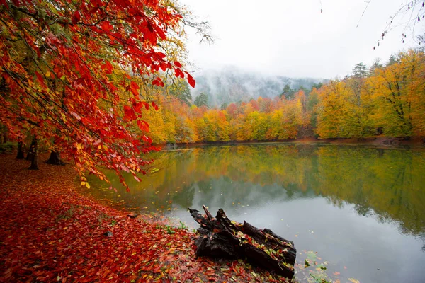 Autumn Forest Landscape Reflection Water Wooden Pier Autumn Landscape Seven — Fotografia de Stock