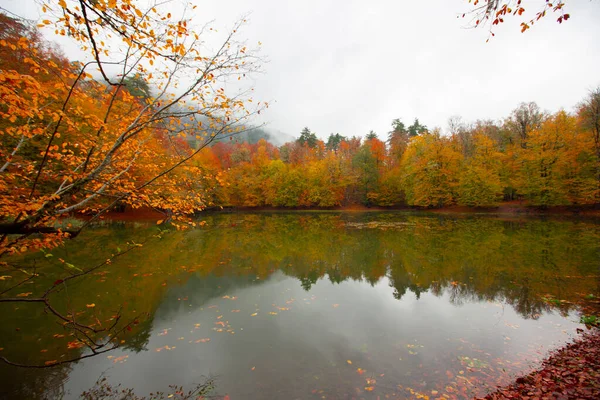 Sonbahar orman manzarası ahşap iskeleli suya yansıyor - Yedigoller Park Bolu, Türkiye 'de sonbahar manzarası (yedi göl)
