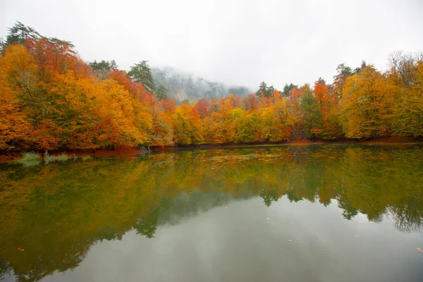 Autumn Forest Landscape Reflection Water Wooden Pier Autumn Landscape Seven — ストック写真