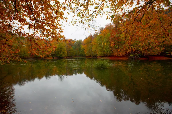 Paesaggio Forestale Autunnale Riflessione Sull Acqua Con Molo Legno Paesaggio — Foto Stock