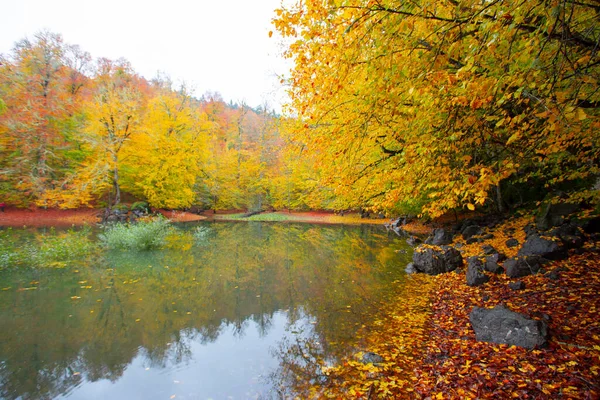 Sonbahar orman manzarası ahşap iskeleli suya yansıyor - Yedigoller Park Bolu, Türkiye 'de sonbahar manzarası (yedi göl)