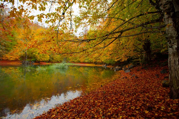 Herbstliche Waldlandschaft Spiegelung Auf Dem Wasser Mit Holzsteg Herbstlandschaft Yedigoller — Stockfoto