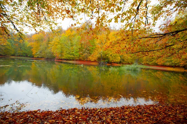 Podzimní Lesní Krajina Odraz Vodě Dřevěným Mola Podzimní Krajina Sedm — Stock fotografie