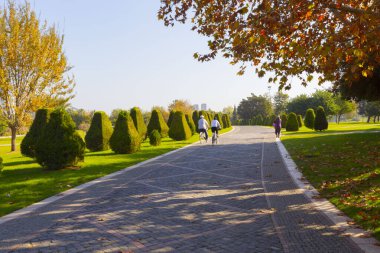 Gün batımında Taş Köprü ve Sabancı Camii - Adana, Türkiye