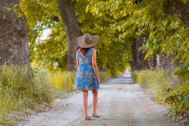 Ağaçlar tarafından oluşturulan tüneller ve toprak yollar. Bolu, Yedigöller, Abant, Uludağ, Dudaklı, Bursa, Türkiye.