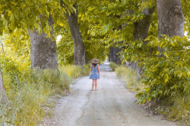 Ağaçlar tarafından oluşturulan tüneller ve toprak yollar. Bolu, Yedigöller, Abant, Uludağ, Dudaklı, Bursa, Türkiye.