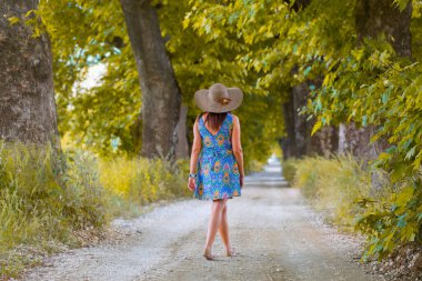 Ağaçlar tarafından oluşturulan tüneller ve toprak yollar. Bolu, Yedigöller, Abant, Uludağ, Dudaklı, Bursa, Türkiye.