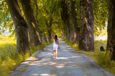 Ağaçlar tarafından oluşturulan tüneller ve toprak yollar. Bolu, Yedigöller, Abant, Uludağ, Dudaklı, Bursa, Türkiye.