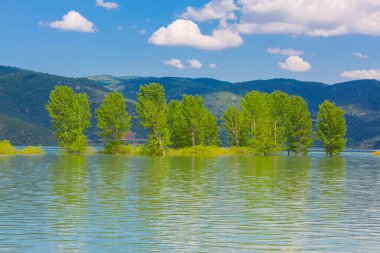 Tuzlu dağ gölü Salda 'nın rüzgarlı kumlu kıyıları. Turkuaz su. Mountain Gölü. Dinlenme yeri. Turist eğlencesi