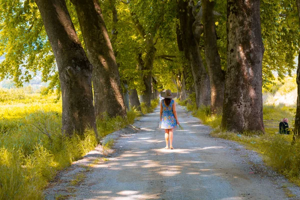 Tunnels Dirt Roads Created Trees Bolu Yedigoller Abant Uludag Dudakli Stock Picture