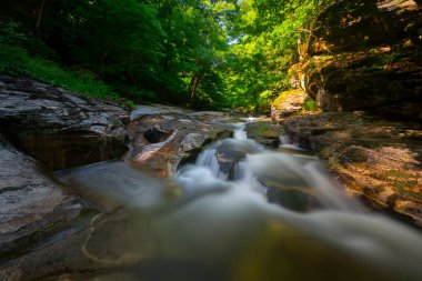 Mustafa Kemal Paşa'da Suuctu şelaleleri, Bursa, Türkiye. Ağaçlar arasında güzel şelale, yeşil yapraklar, kayalar ve nehir arka plan ile gizli ormanda taşlar.