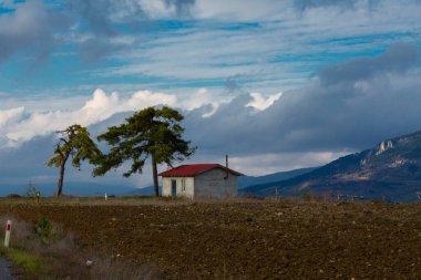Türkiye 'nin Kastamonu kentindeki Kure Dağları' nın yamaçlarındaki manzara güzel sonbahar doğası