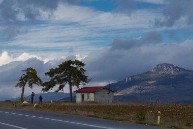 Türkiye 'nin Kastamonu kentindeki Kure Dağları' nın yamaçlarındaki manzara güzel sonbahar doğası