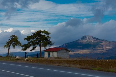 Türkiye 'nin Kastamonu kentindeki Kure Dağları' nın yamaçlarındaki manzara güzel sonbahar doğası