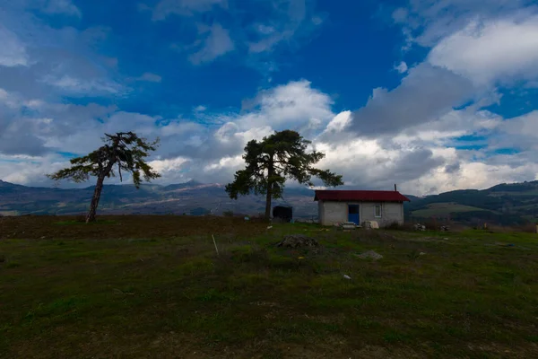 Türkiye 'nin Kastamonu kentindeki Kure Dağları' nın yamaçlarındaki manzara güzel sonbahar doğası
