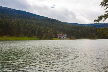 Golcuk Milli Parkı Bolu Hindi. Bolu Golcuk Milli Parkı 'nda orman içindeki Güz Tahta Göl evi, Türkiye duvar kağıdı