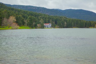 Golcuk Milli Parkı Bolu Hindi. Bolu Golcuk Milli Parkı 'nda orman içindeki Güz Tahta Göl evi, Türkiye duvar kağıdı