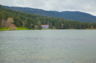Golcuk Milli Parkı Bolu Hindi. Bolu Golcuk Milli Parkı 'nda orman içindeki Güz Tahta Göl evi, Türkiye duvar kağıdı