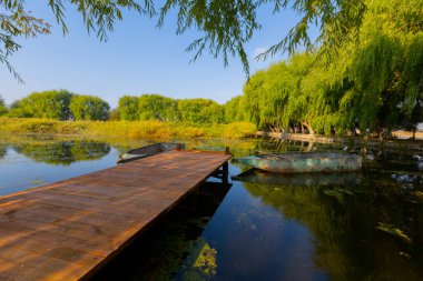güzel manzara ve sultanmarshes (kuş cenneti) yanındaki erciyes Dağı, kayseri